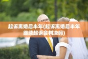 起诉离婚后半年(起诉离婚后半年继续起诉会判决吗)