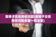 离婚子女抚养权问题(离婚子女抚养权问题在哪一部法里)