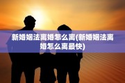 新婚姻法离婚怎么离(新婚姻法离婚怎么离最快)