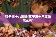孩子满十八离婚(孩子满十八离婚怎么判)