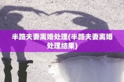 半路夫妻离婚处理(半路夫妻离婚处理结果)