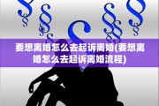 要想离婚怎么去起诉离婚(要想离婚怎么去起诉离婚流程)
