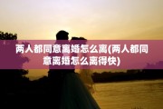 两人都同意离婚怎么离(两人都同意离婚怎么离得快)