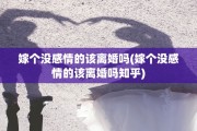 嫁个没感情的该离婚吗(嫁个没感情的该离婚吗知乎) 嫁个没感情的该离婚吗(嫁个没感情的该离婚吗知乎)
