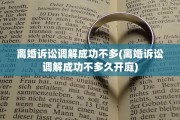 离婚诉讼调解成功不多(离婚诉讼调解成功不多久开庭)