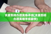 夫妻怎样办理离婚手续(夫妻怎样办理离婚手续最快)