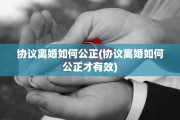 协议离婚如何公正(协议离婚如何公正才有效)