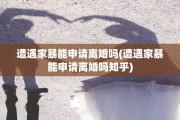 遭遇家暴能申请离婚吗(遭遇家暴能申请离婚吗知乎)