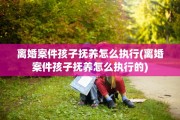 离婚案件孩子抚养怎么执行(离婚案件孩子抚养怎么执行的)