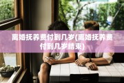 离婚抚养费付到几岁(离婚抚养费付到几岁结束)
