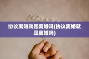 协议离婚就是离婚吗(协议离婚就是离婚吗)