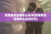 想离婚没证据怎么起诉(想离婚没证据怎么起诉对方)