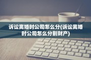 诉讼离婚时公司怎么分(诉讼离婚时公司怎么分割财产)