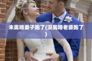未离婚妻子跑了(没离婚老婆跑了)