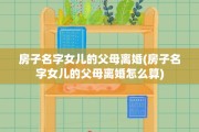 房子名字女儿的父母离婚(房子名字女儿的父母离婚怎么算)