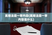 离婚法庭一审内容(离婚法庭一审内容是什么)