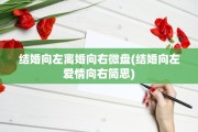结婚向左离婚向右微盘(结婚向左爱情向右简思)