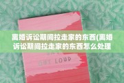 离婚诉讼期间拉走家的东西(离婚诉讼期间拉走家的东西怎么处理)