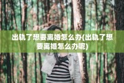 出轨了想要离婚怎么办(出轨了想要离婚怎么办呢)