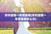 农村结婚一年想离婚(农村结婚一年想离婚怎么办)