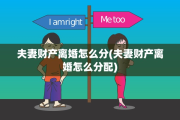 夫妻财产离婚怎么分(夫妻财产离婚怎么分配)