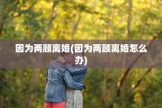 因为两顾离婚(因为两顾离婚怎么办)