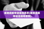 离婚调解申请是啥意思(离婚调解申请是啥意思啊)