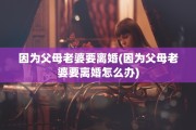 因为父母老婆要离婚(因为父母老婆要离婚怎么办)