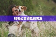 和老公离婚见前男友