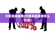 欠债卖房离婚(欠债卖房离婚怎么处理)
