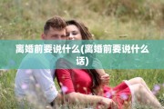 离婚前要说什么(离婚前要说什么话)
