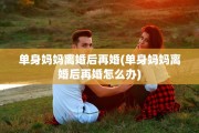 单身妈妈离婚后再婚(单身妈妈离婚后再婚怎么办)