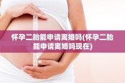 怀孕二胎能申请离婚吗(怀孕二胎能申请离婚吗现在)