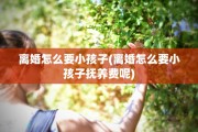 离婚怎么要小孩子(离婚怎么要小孩子抚养费呢)