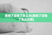 离婚了没钱了怎么办(离婚了没钱了怎么办呢)