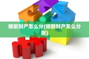 婚前财产怎么分(婚前财产怎么分配)