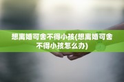 想离婚可舍不得小孩(想离婚可舍不得小孩怎么办)