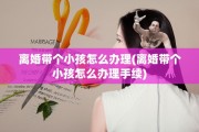 离婚带个小孩怎么办理(离婚带个小孩怎么办理手续)