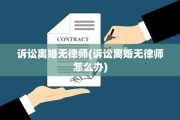 诉讼离婚无律师(诉讼离婚无律师怎么办)