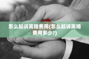 怎么起诉离婚费用(怎么起诉离婚费用多少?)