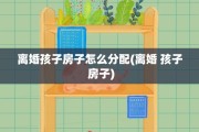 离婚孩子房子怎么分配(离婚 孩子 房子)