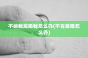 不给我离婚我怎么办(不肯离婚怎么办)