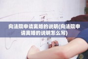 向法院申请离婚的说明(向法院申请离婚的说明怎么写)