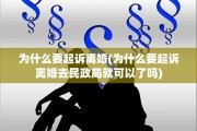 为什么要起诉离婚(为什么要起诉离婚去民政局就可以了吗)