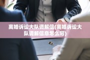 离婚诉讼大队调解信(离婚诉讼大队调解信息怎么写)