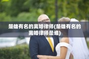 楚雄有名的离婚律师(楚雄有名的离婚律师是谁)