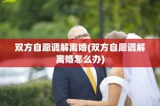 双方自愿调解离婚(双方自愿调解离婚怎么办)