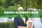 离婚律师小宝(离婚律师小宝是谁)
