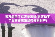男方动手了女方要离婚(男方动手了女方要离婚是否分割财产)