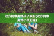 双方同意离婚孩子纠纷(双方同意离婚小孩归谁)